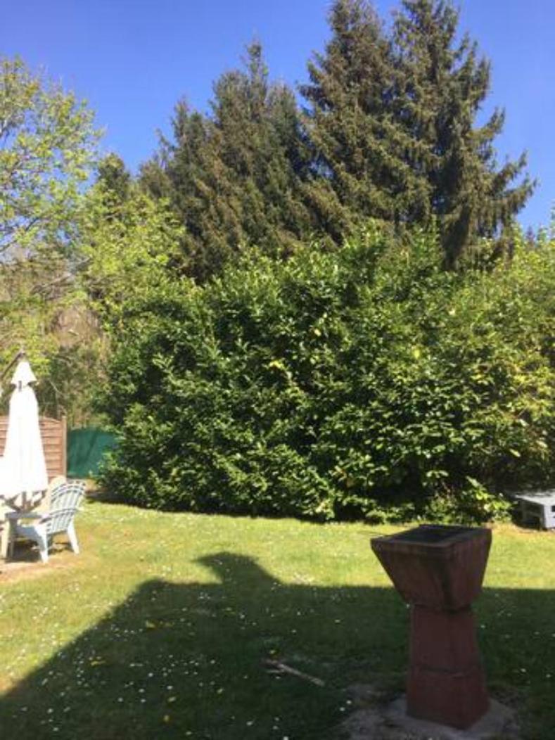 Gite Cosy Proche Fontainebleau Et Foret Noisy-sur-Ecole Exterior photo